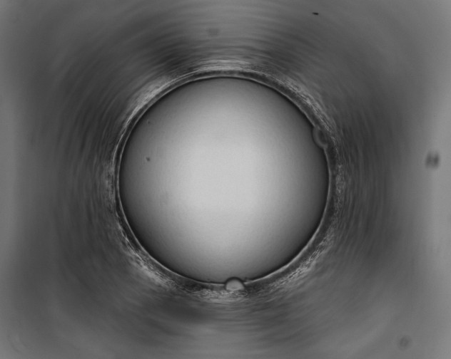 X0000100331129200806191102