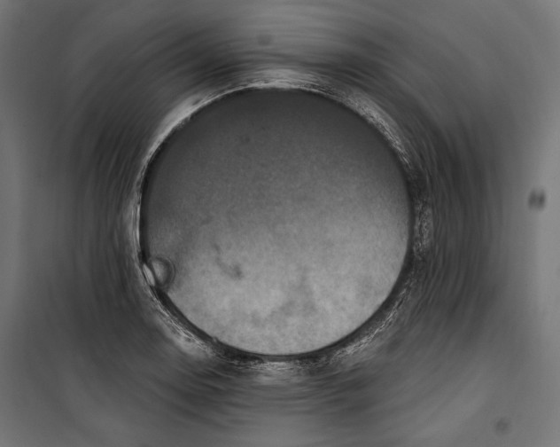 X0000100331130200806191102