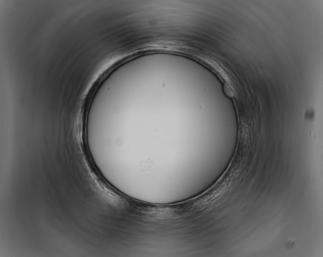 X0000100331131200806191102