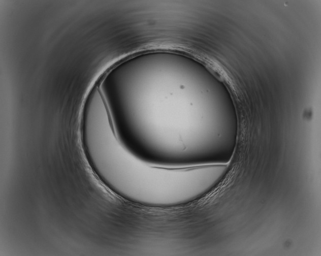 X0000100331132200806191102