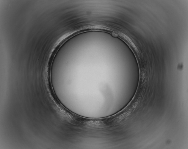 X0000100331133200806191102