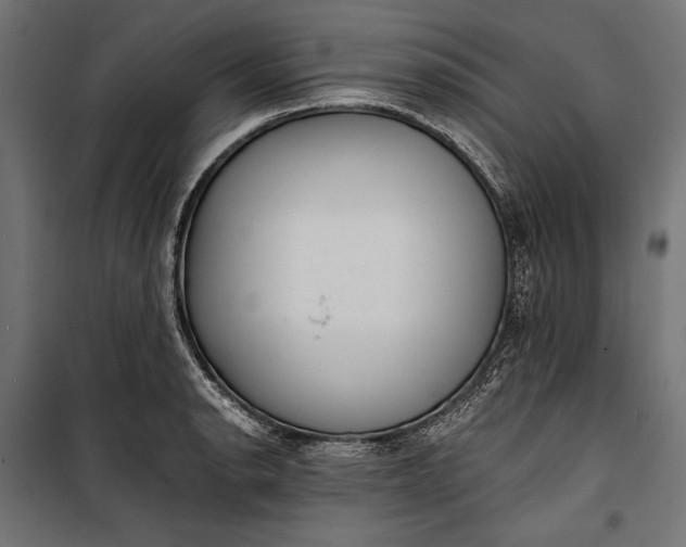 X0000100331134200806191102