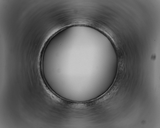 X0000100331135200806191102