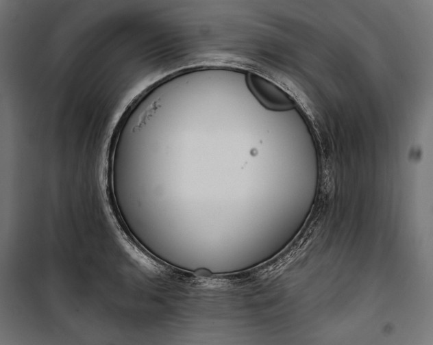 X0000100331136200806191102