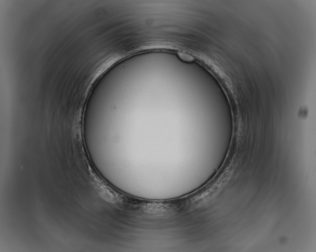 X0000100331137200806191102