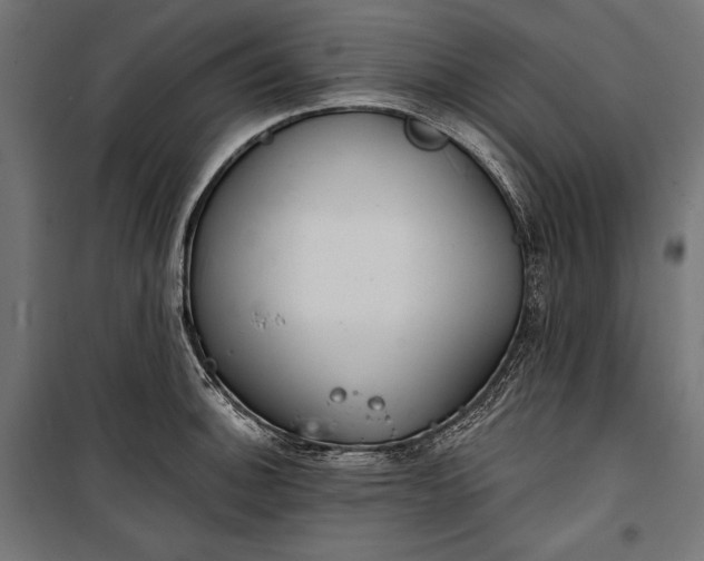 X0000100331140200806191102