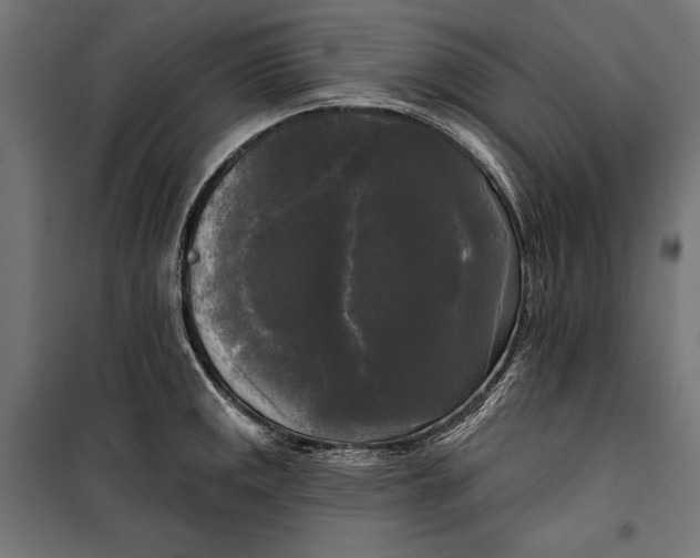 X0000100331141200806191102