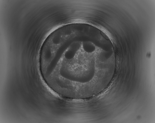 X0000100331142200806191102