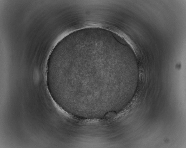 X0000100331143200806191102