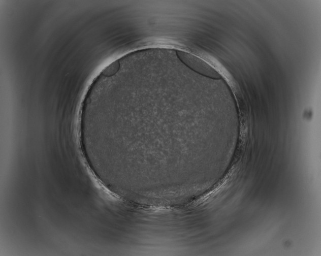 X0000100331144200806191102