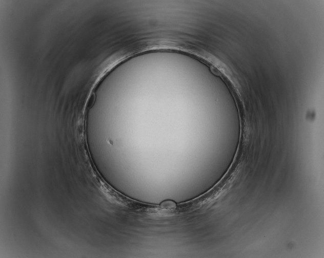 X0000100331145200806191102