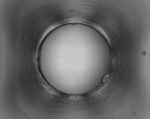 X0000100331146200806191102