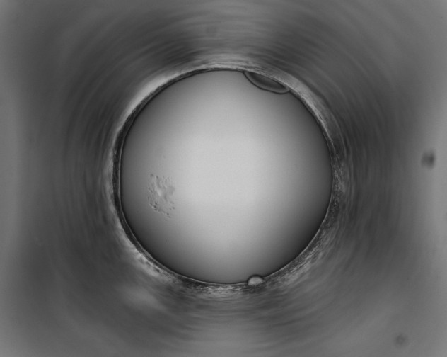 X0000100331147200806191102