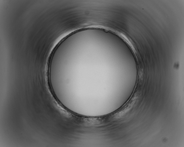 X0000100331149200806191102