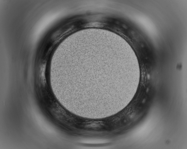 X0000100331150200806191102