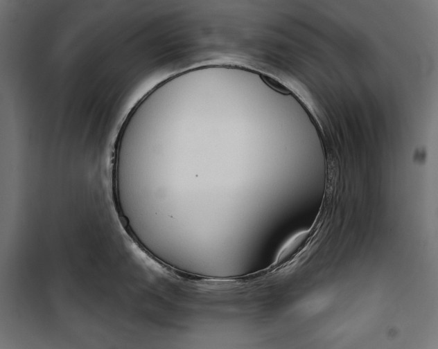 X0000100331151200806191102