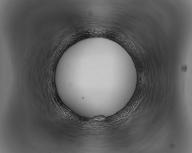 X0000100331153200806191101