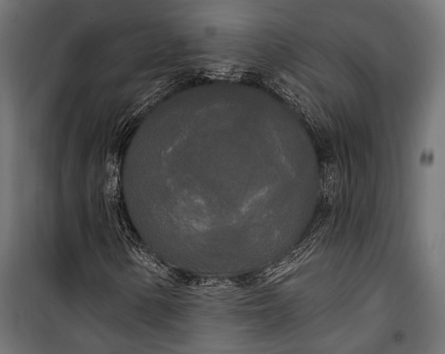 X0000100331154200806191101