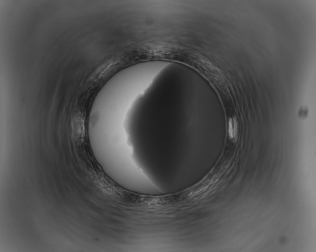 X0000100331155200806191101