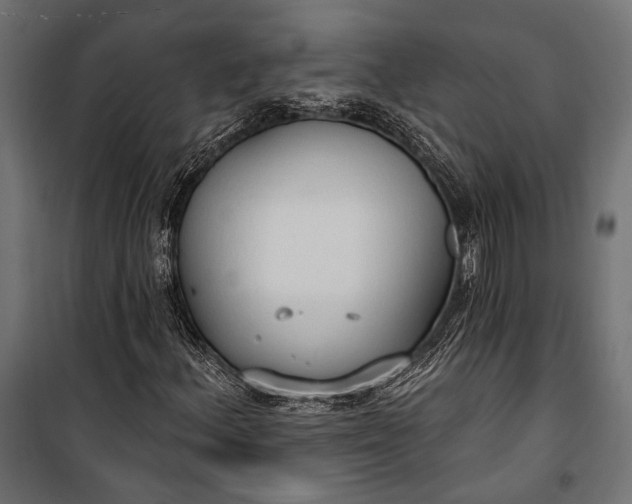 X0000100331156200806191101