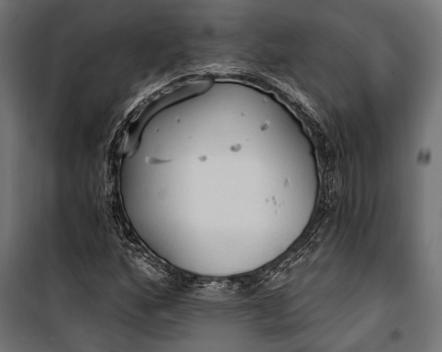 X0000100331160200806191101