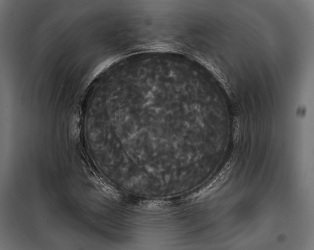 X0000100331163200806191101