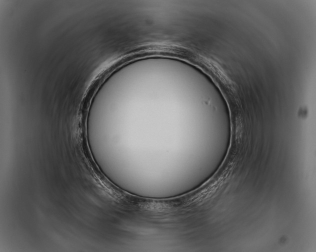 X0000100331164200806191101