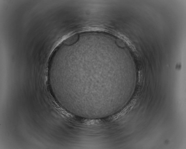 X0000100331165200806191101