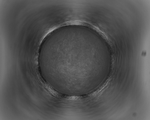 X0000100331166200806191101