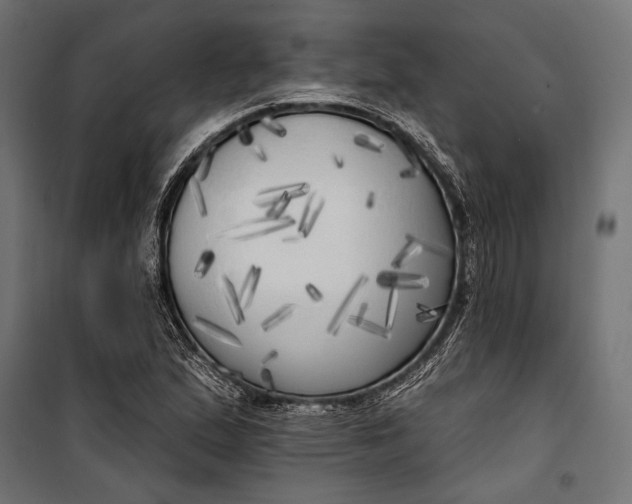 X0000100331167200806191101