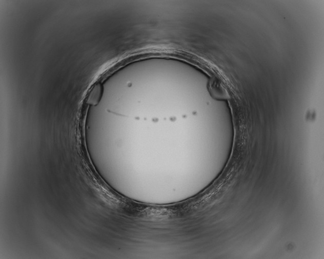 X0000100331168200806191101