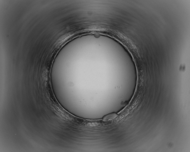 X0000100331169200806191101