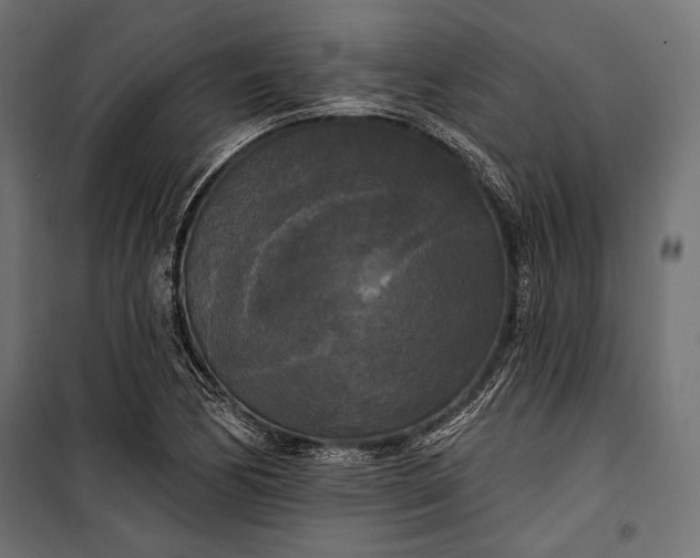 X0000100331170200806191101