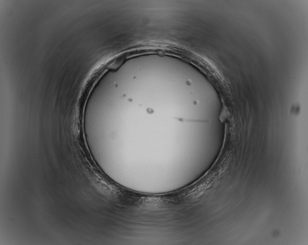 X0000100331172200806191101