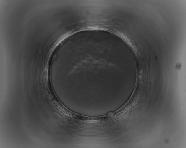 X0000100331173200806191101