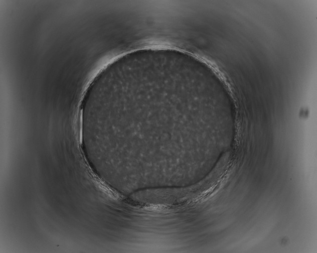 X0000100331175200806191101