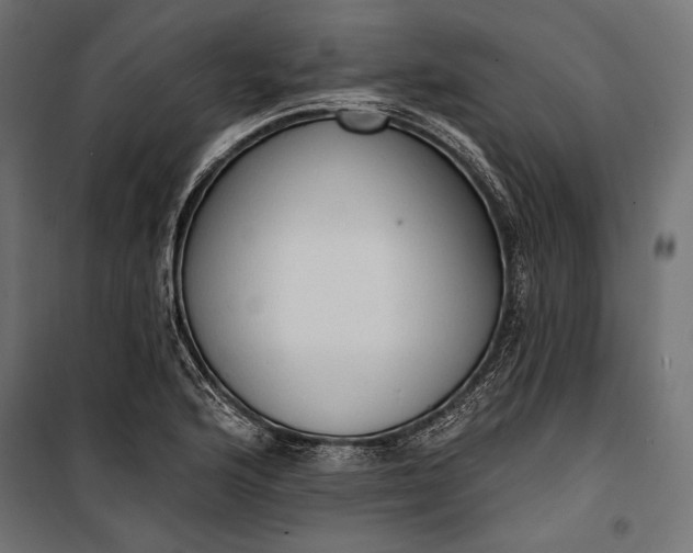 X0000100331176200806191101