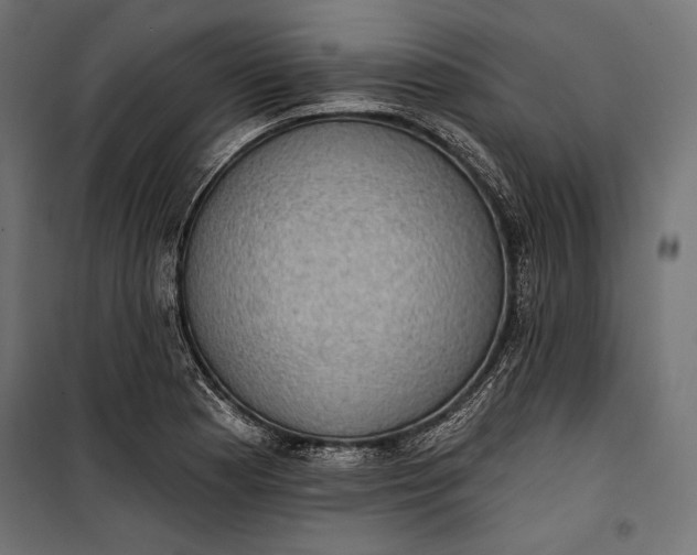 X0000100331177200806191101