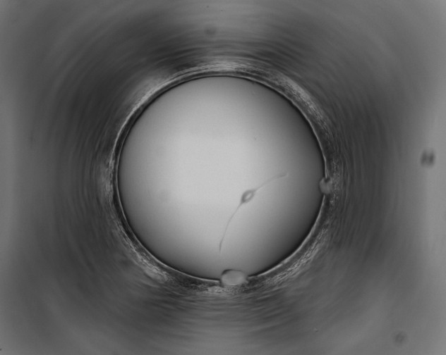 X0000100331178200806191101