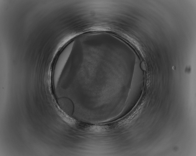 X0000100331179200806191101