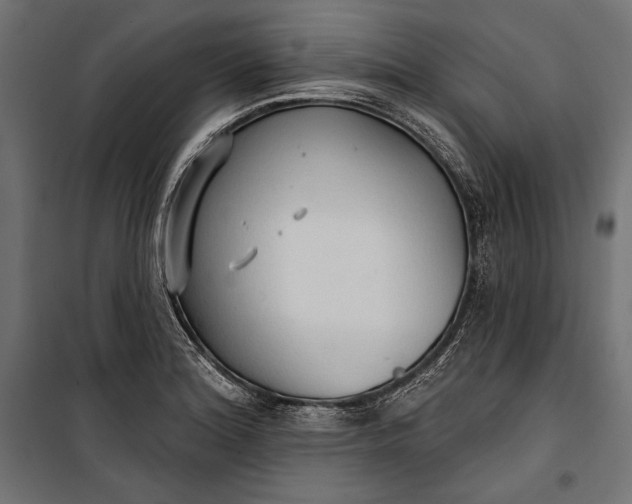 X0000100331180200806191101