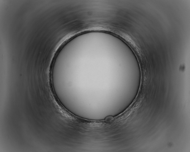 X0000100331181200806191101