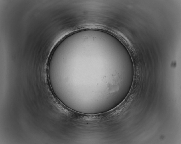 X0000100331182200806191101