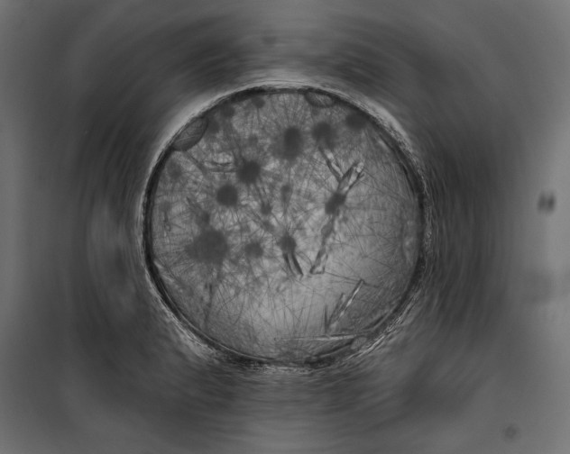 X0000100331183200806191101