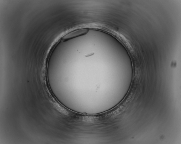 X0000100331184200806191101