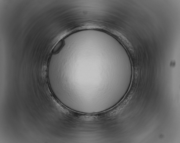 X0000100331185200806191101