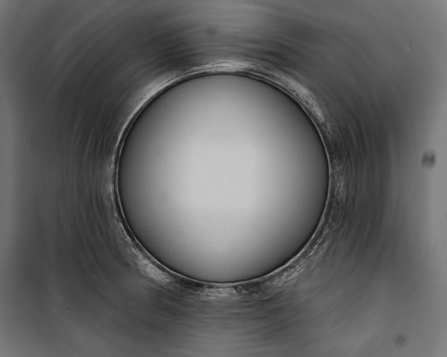 X0000100331186200806191101