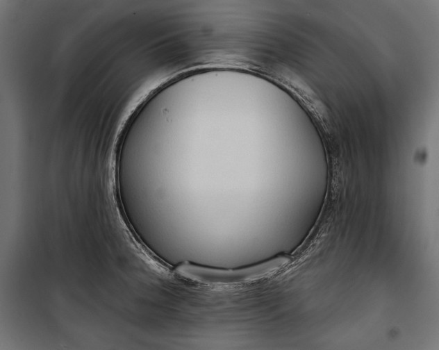 X0000100331188200806191101