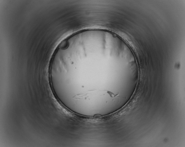 X0000100331189200806191101