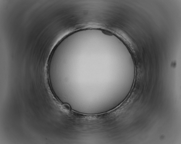 X0000100331190200806191101